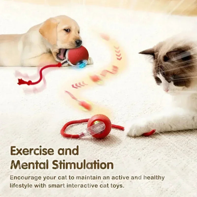 Robotic Tail Interactive Pet Toy