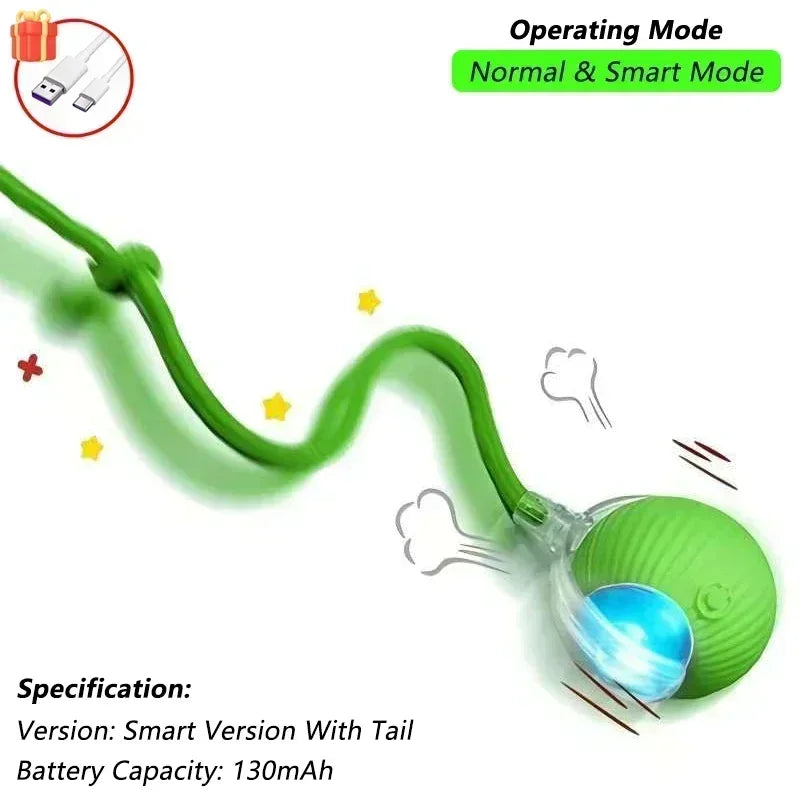 Robotic Tail Interactive Pet Toy