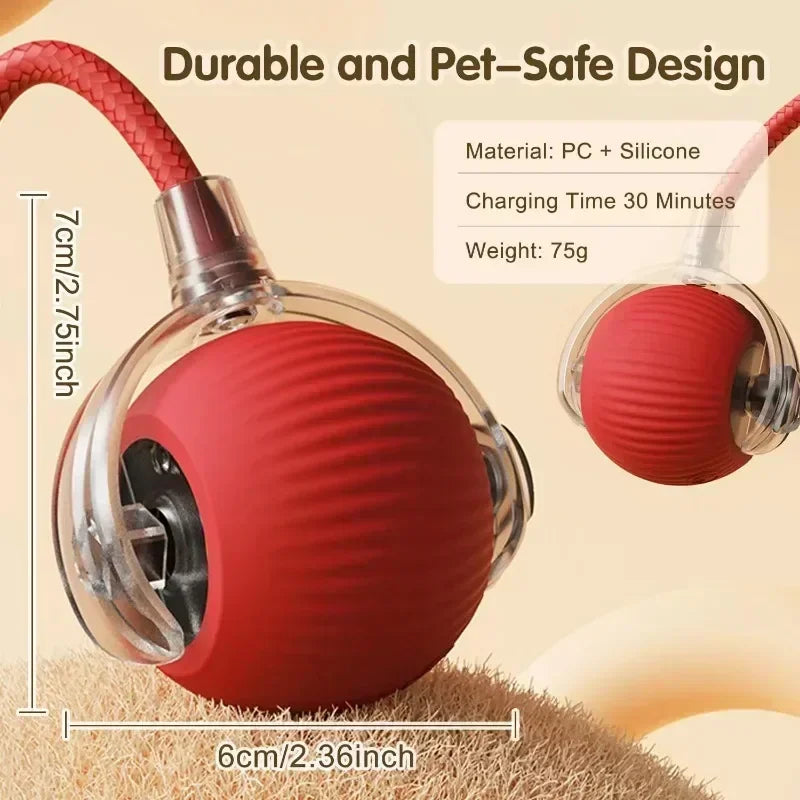 Robotic Tail Interactive Pet Toy