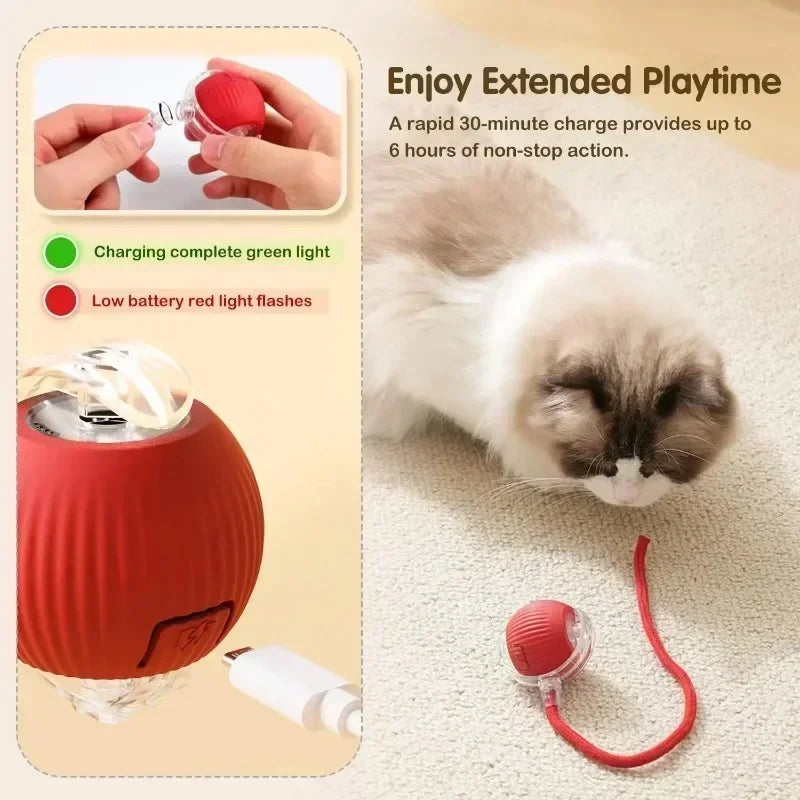 Robotic Tail Interactive Pet Toy