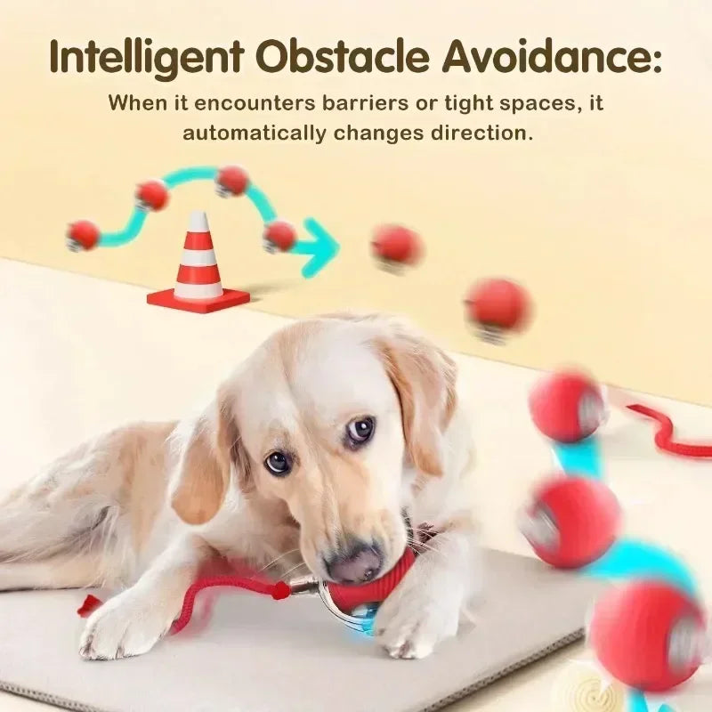 Robotic Tail Interactive Pet Toy