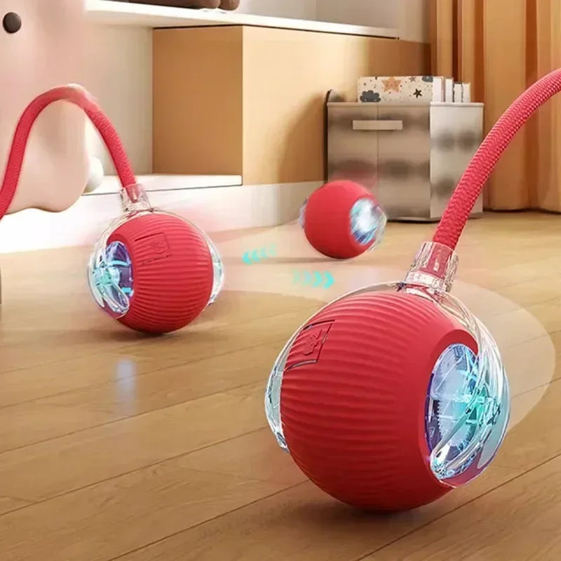 Robotic Tail Interactive Pet Toy