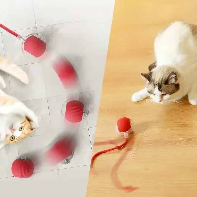 Robotic Tail Interactive Pet Toy